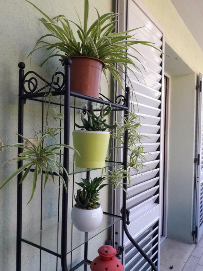Apartmán Palazzina Mary Lucca Exteriér fotografie